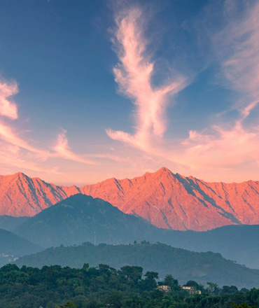 Food served at Sparrow Restaurant, the rooftop dining outlet